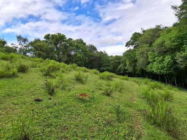 Terreno / Lote para Venda em Campo Largo/PR Fazendinha