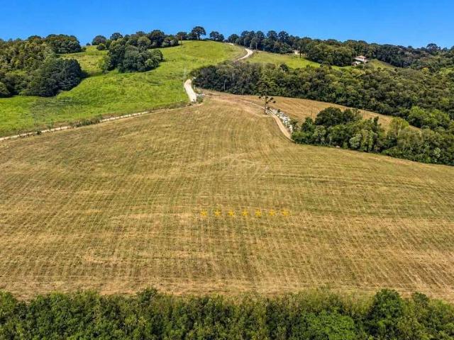 Terreno / Lote para Venda em Campo Largo/PR Ferraria