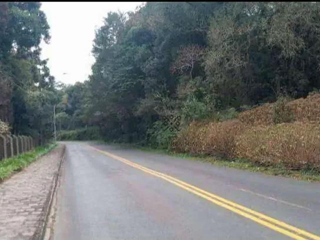 Terreno / Lote para Venda em Campo Largo/PR Ferraria