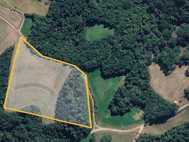 Terreno / Lote para Venda em Campo Largo/PR Ferraria