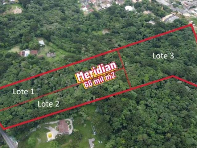 Terreno / Lote para Venda em Campo Largo/PR Ferraria