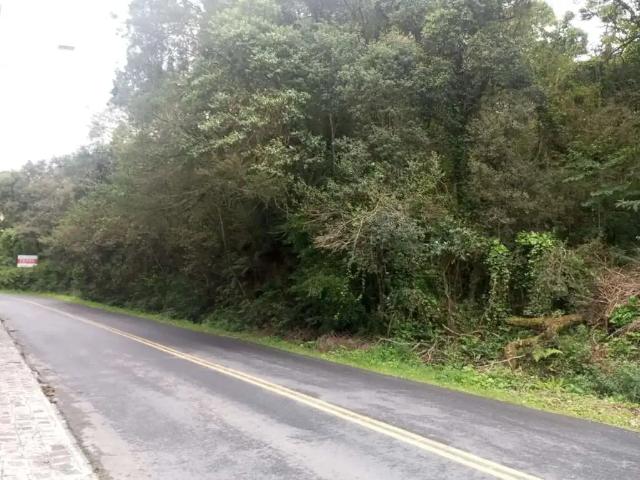 Terreno / Lote para Venda em Campo Largo/PR Ferraria