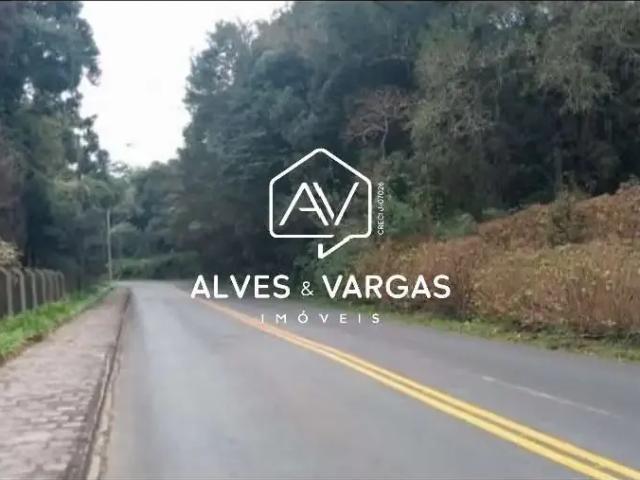 Terreno / Lote para Venda em Campo Largo/PR Ferraria