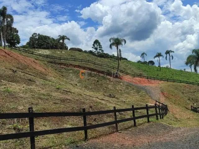Terreno / Lote para Venda em Campo Largo/PR Itaqui de Cima