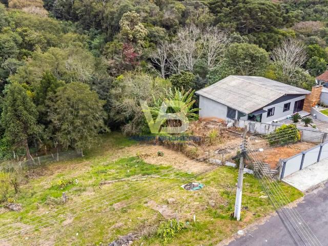 Terreno / Lote para Venda em Campo Largo/PR Jardim Tropical