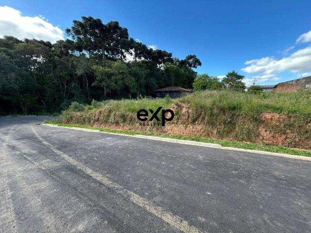 Terreno / Lote para Venda em Campo Largo/PR Jardim das Palmeiras