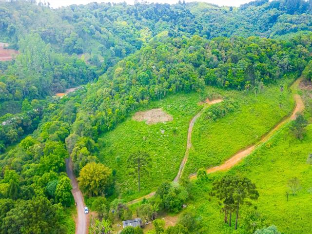 Terreno / Lote para Venda em Campo Largo/PR Taquaral