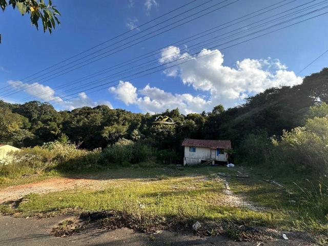 Terreno / Lote para Venda em Campo Largo/PR Vila Bancária