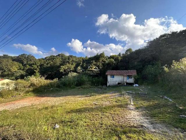 Terreno / Lote para Venda em Campo Largo/PR Vila Bancária