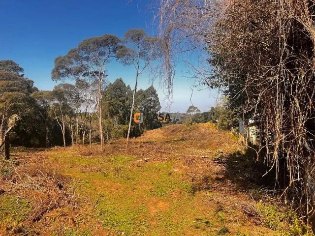 Terreno / Lote para Venda em Campo Largo/PR Vila Delurdes