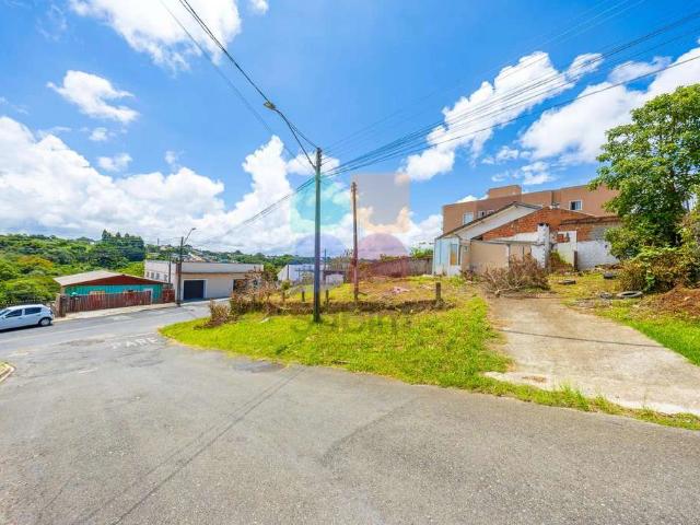 Terreno / Lote para Venda em Campo Largo/PR Vila Nossa Senhora do Carmo
