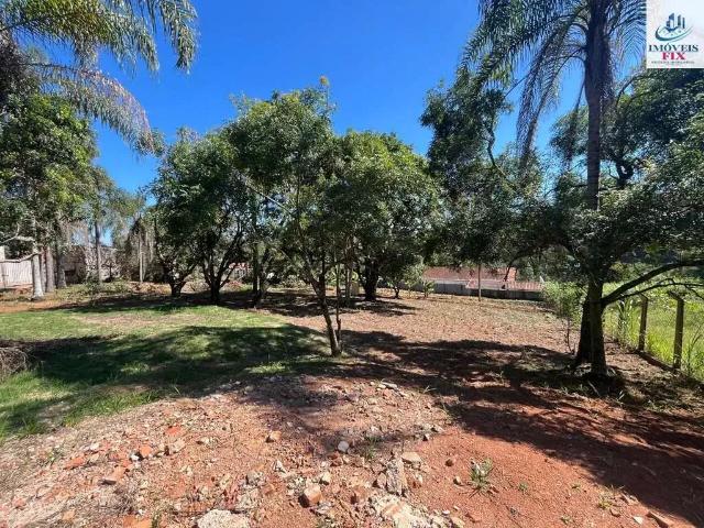 Terreno / Lote para Venda em Campo Limpo Paulista/SP Estância Figueira Branca