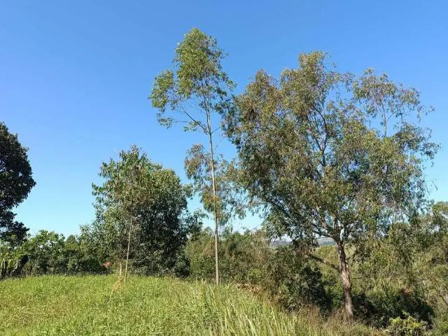 Terreno / Lote para Venda em Campo Limpo Paulista/SP Estância São Paulo