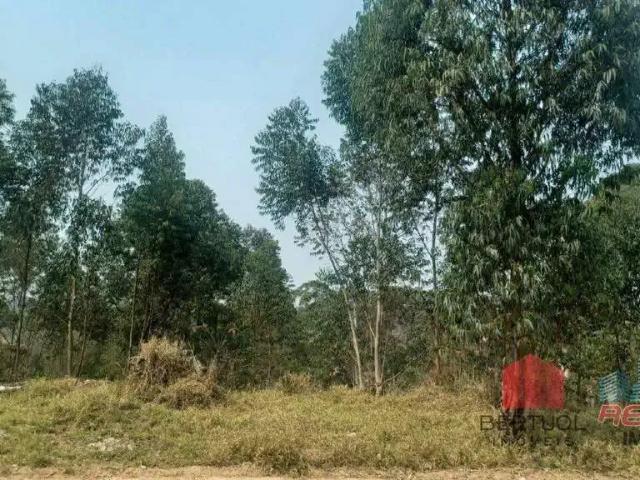 Terreno / Lote para Venda em Campo Limpo Paulista/SP Pau Arcado