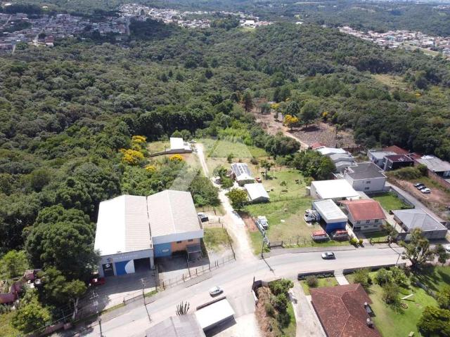 Terreno / Lote para Venda em Campo Magro/PR Campo Novo