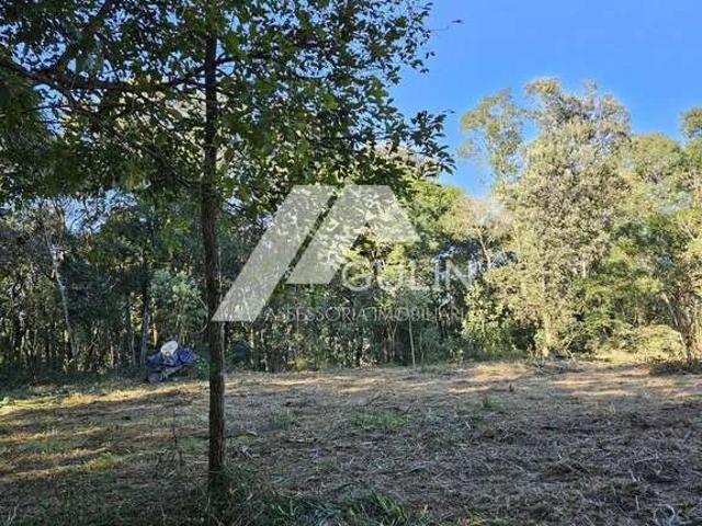 Terreno / Lote para Venda em Campo Magro/PR Centro