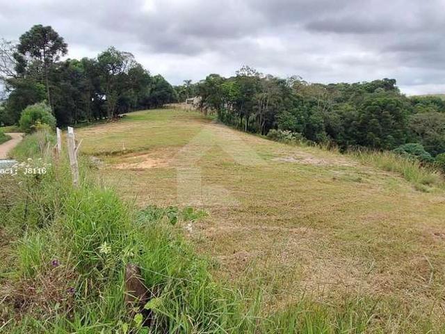 Terreno / Lote para Venda em Campo Magro/PR Centro