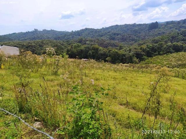 Terreno / Lote para Venda em Campo Magro/PR Jardim Boa Vista