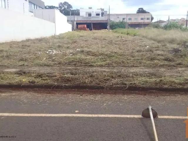Terreno / Lote para Venda em Campo Mourão/PR Jardim Francisco Ferreira Albuquerque