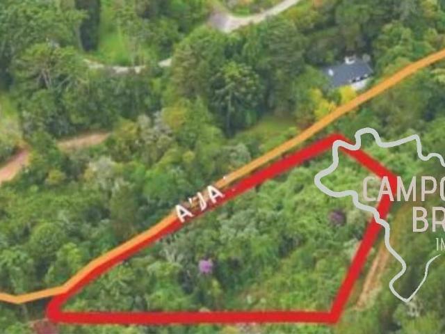 Terreno / Lote para Venda em Campos do Jordão/SP Centro