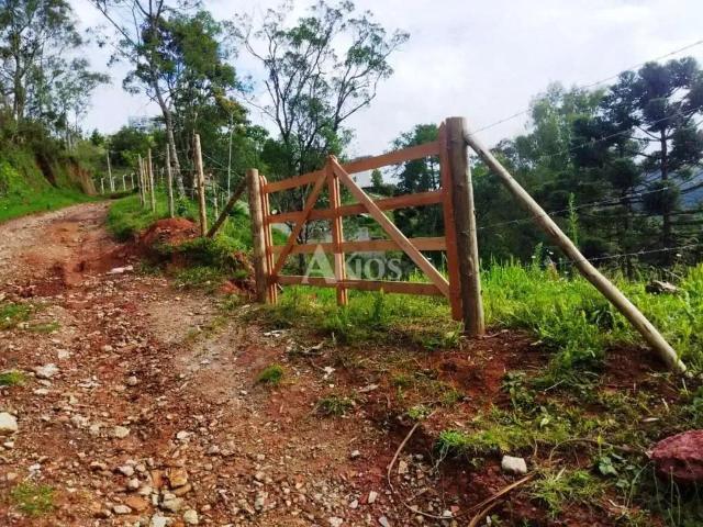 Terreno / Lote para Venda em Campos do Jordão/SP Vila Chantal