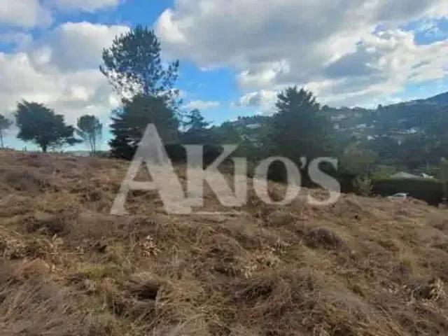 Terreno / Lote para Venda em Campos do Jordão/SP Vale da Mantiqueira