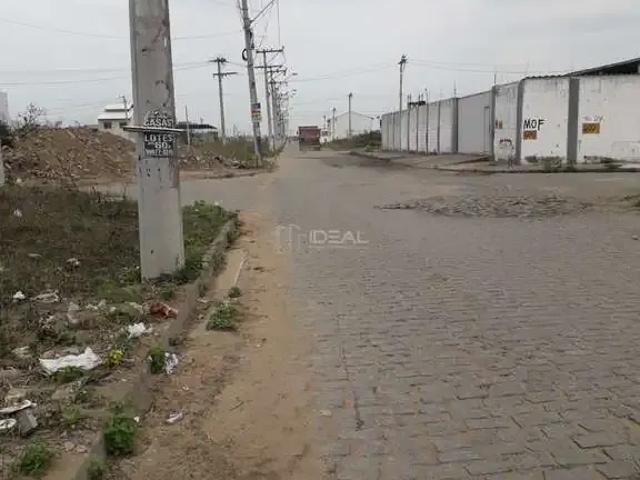 Terreno / Lote para Venda em Campos dos Goytacazes/RJ Alphaville