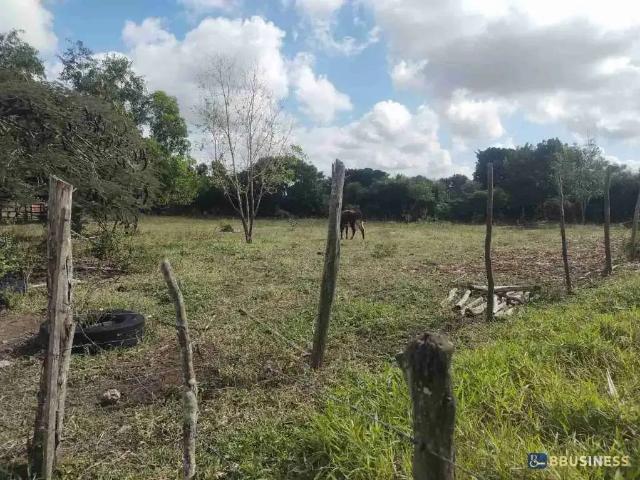 Terreno / Lote para Venda em Campos dos Goytacazes/RJ Área Rural de Campos dos Goytacazes
