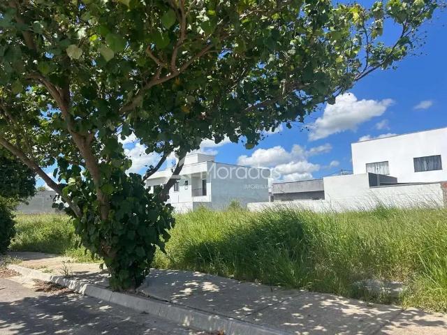 Terreno / Lote para Venda em Campos dos Goytacazes/RJ Cidade Jardim
