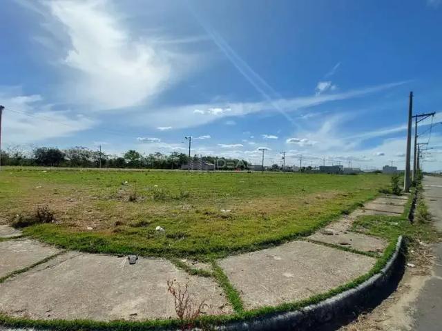 Terreno / Lote para Venda em Campos dos Goytacazes/RJ Goytacazes