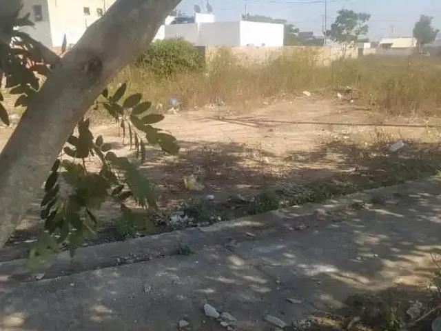 Terreno / Lote para Venda em Campos dos Goytacazes/RJ Jardins de Campos