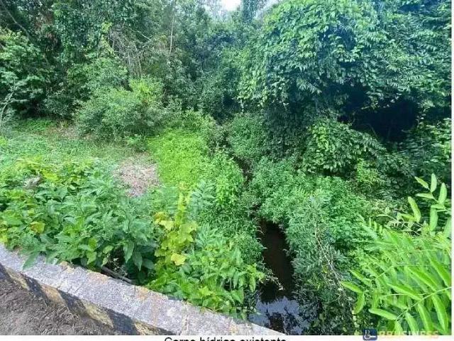 Terreno / Lote para Venda em Campos dos Goytacazes/RJ Parque Aeroporto
