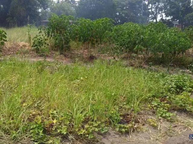 Terreno / Lote para Venda em Campos dos Goytacazes/RJ Parque Boa Vista