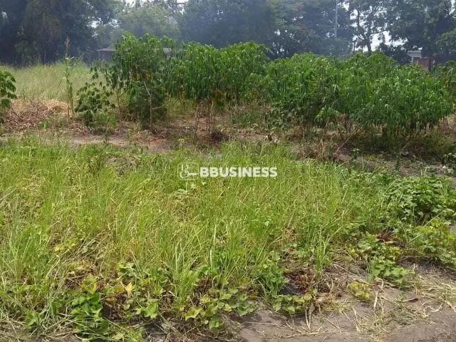 Terreno / Lote para Venda em Campos dos Goytacazes/RJ Parque Boa Vista