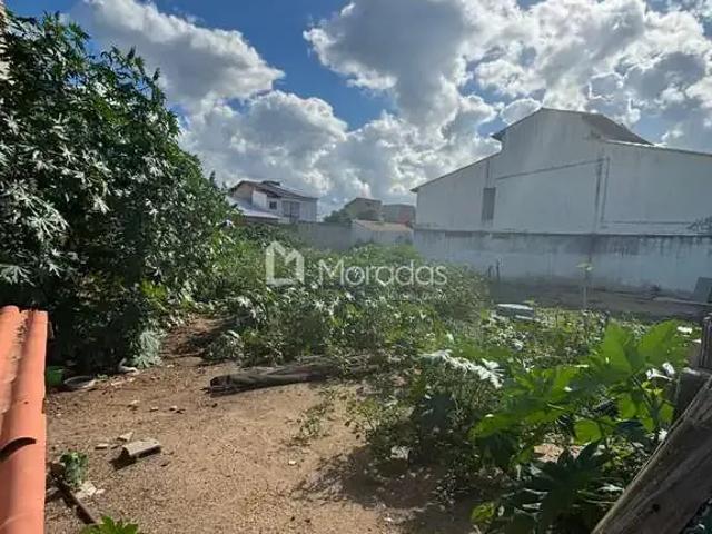 Terreno / Lote para Venda em Campos dos Goytacazes/RJ Parque Julião Nogueira