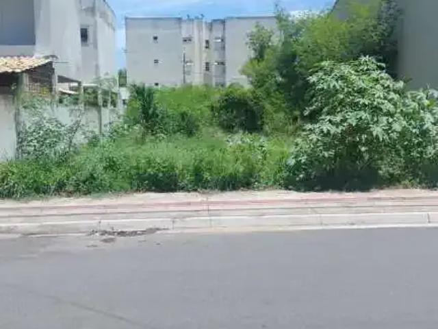 Terreno / Lote para Venda em Campos dos Goytacazes/RJ Parque Leopoldina