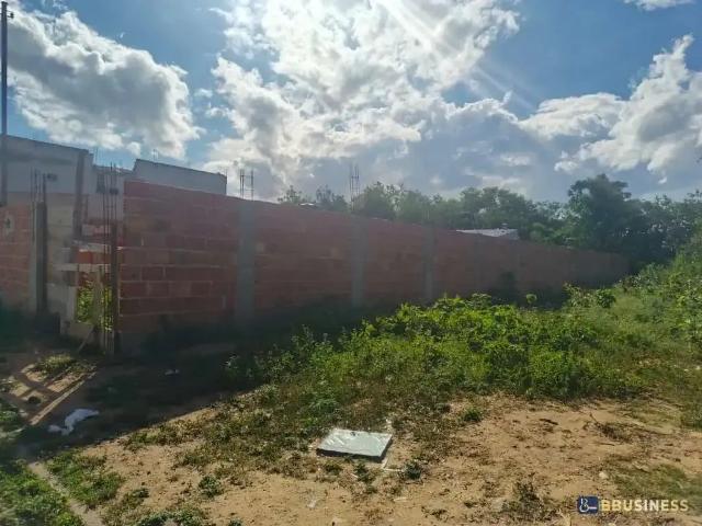 Terreno / Lote para Venda em Campos dos Goytacazes/RJ Parque Novo Jockey