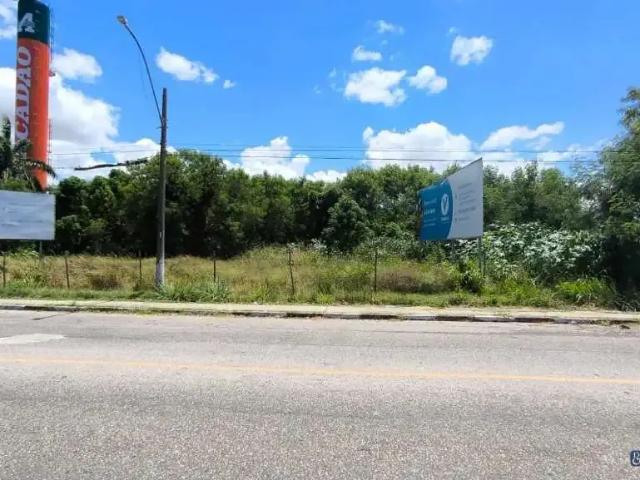 Terreno / Lote para Venda em Campos dos Goytacazes/RJ Parque Santo Amaro