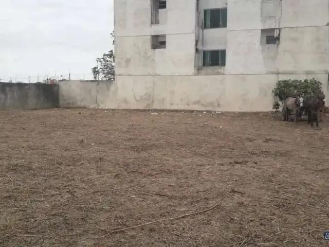 Terreno / Lote para Venda em Campos dos Goytacazes/RJ Parque Santo Antônio