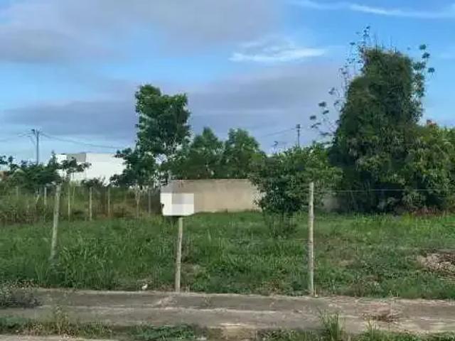 Terreno / Lote para Venda em Campos dos Goytacazes/RJ Parque Tarcisio Miranda