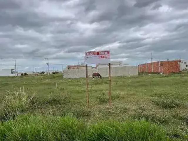 Terreno / Lote para Venda em Campos dos Goytacazes/RJ Parque Tarcisio Miranda