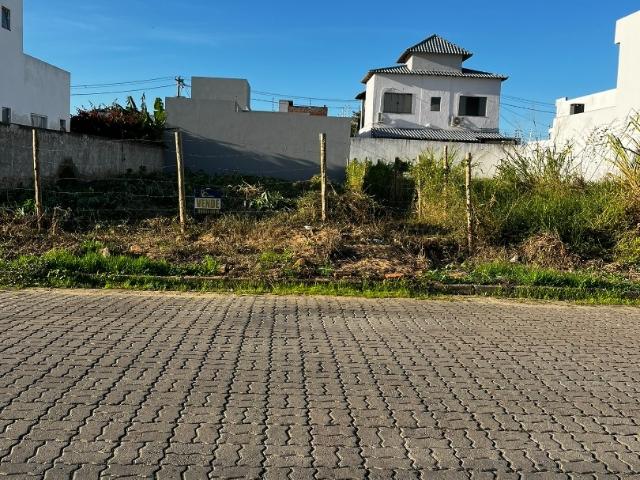 Terreno / Lote para Venda em Campos dos Goytacazes/RJ Parque Tarcisio Miranda