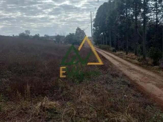 Terreno / Lote para Venda em Cantagalo/PR Centro