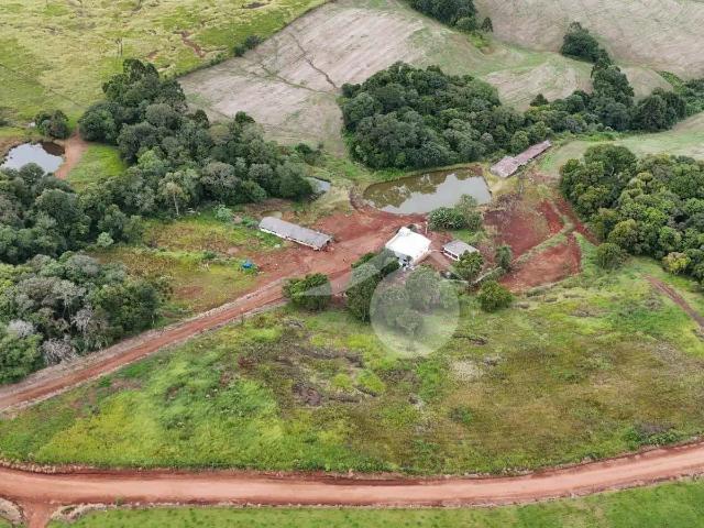Terreno / Lote para Venda em Cantagalo/PR Jardim Social