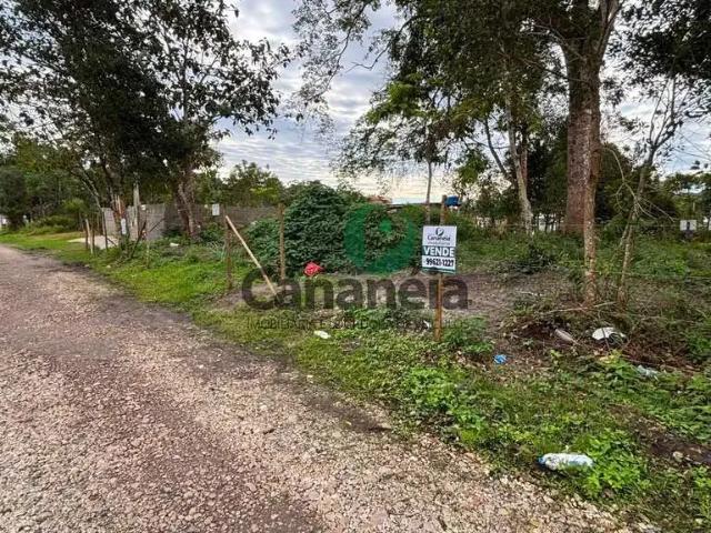 Terreno / Lote para Venda em Cananéia/SP Nova Cananéia
