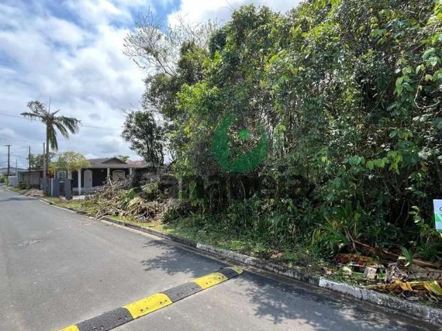 Terreno / Lote para Venda em Cananéia/SP Carijó
