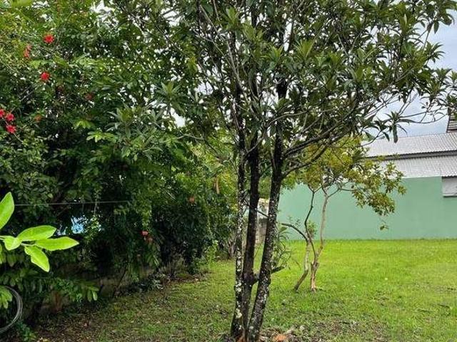 Terreno / Lote para Venda em Cananéia/SP Centro