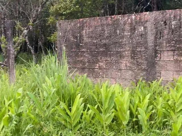 Terreno / Lote para Venda em Cananéia/SP Retiro das Caravelas