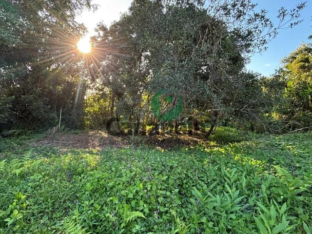 Terreno / Lote para Venda em Cananéia/SP Retiro das Caravelas