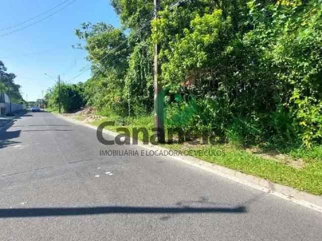 Terreno / Lote para Venda em Cananéia/SP Vila Cabana